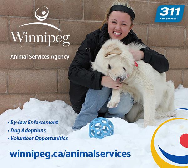 311 City Services : Winnipeg Animal Services Agency:  Pet Licensing, Bylaw Enforcement, Pet Adoptions, Volunteer opportunities : Winnipeg.ca/animalservices